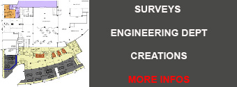 Surveys